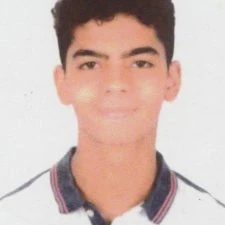 Aly Ahmed Darwish Mostafa Galal Darwish — Secondary 2 · Literary, 2024–2025